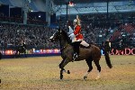 Cavalry - 00273
